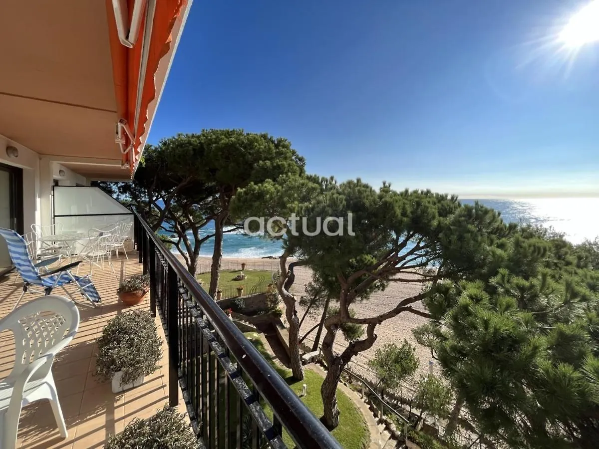 Cavall Bernat 36 Platja d'Aro