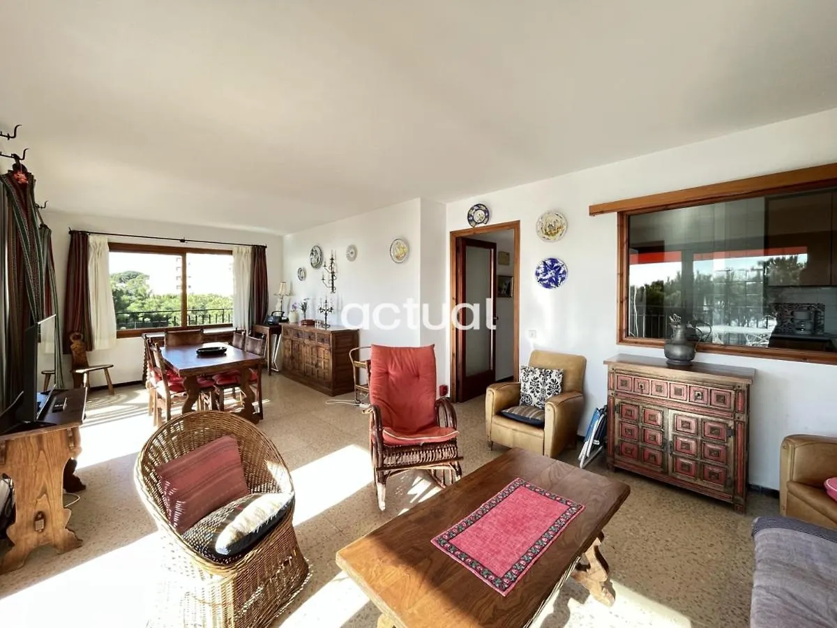 Cavall Bernat 36 location